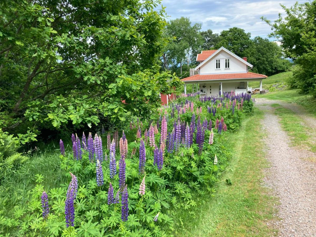 Ny Flintarp Villa Лахолм Екстериор снимка